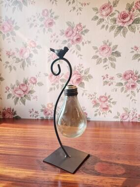 Glass Light Bulb Propagation Vase Bird Metal Stand Hydroponic Plant Holder